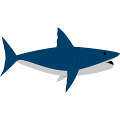 great white shark, ocean animals, isolated on white background, animal vector illustration