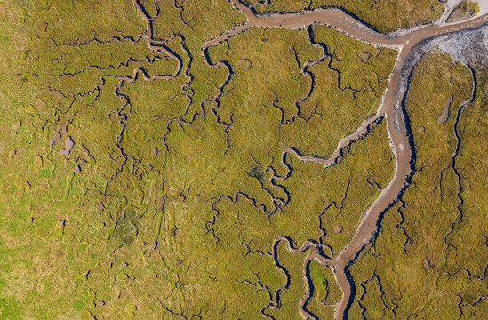 Aerial view of abstract wetlands and winding river in Tynninghame, East Lothian, Scotland.
