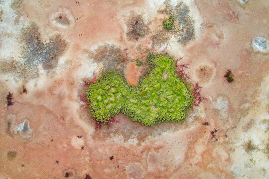 Aerial view of Geoff Skinner Wetlands shaped mangrove, Wellington Point, Australia.
