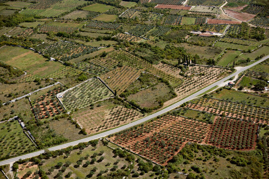 Aerial view of diverse oliveyards and fields in Istria, Croatia.