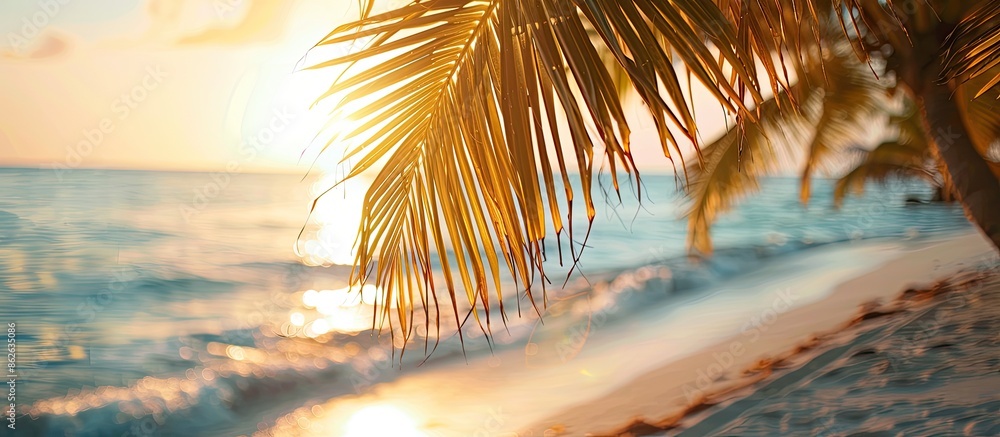 Poster Sunlight highlights a palm tree on the beach with selective focus, ideal for a copy space image.
