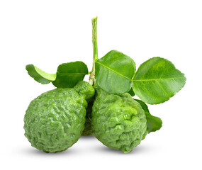 Bergamot isolated on transparent png