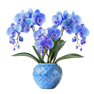 recommend clip art: Blue orchids in blue veramic vase clip art