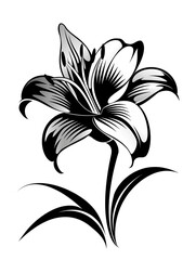 Obraz premium A black and white drawing of a flower. The flower is a lily and it is the main focus of the image. The flower is drawn in a very detailed and intricate manner, with the stem