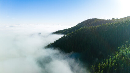 Aerial drone view of green mountains in the morning clouds, Parque Nacional del Teide, Tenerife island, Spain