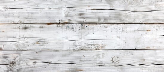 Obraz premium Top view of natural white wood plank from a forest, displaying original texture, ideal as a background with copy space image.