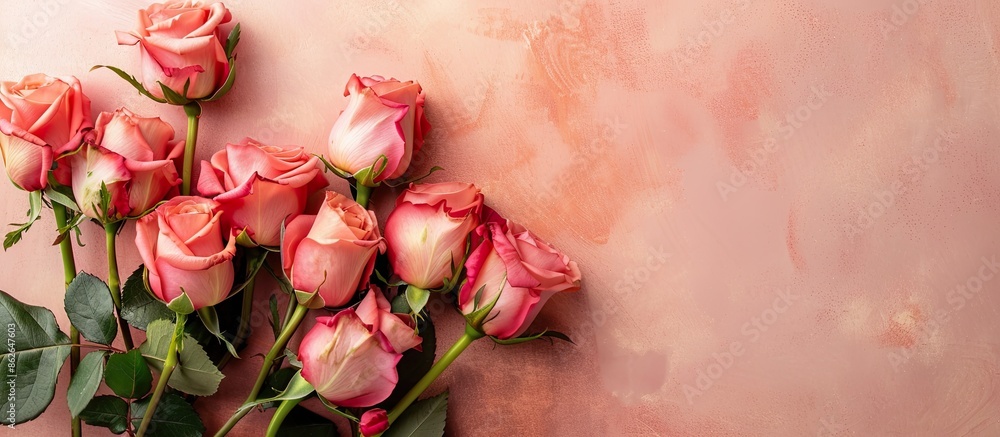 Poster valentine's day background featuring pink roses with a frame for the holiday, ideal for incorporatin