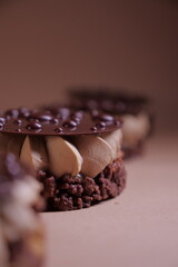 delicious dessert with chocolate cream, hazelnut praline and coffee. crispy base and chocolate decor. tasty pastry tart. modern dessert. layers. european confectionery
