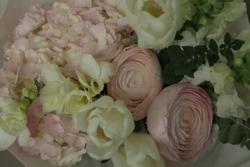 girly, cute, tender, beautiful bouquet. green, white and pink flowers. tulip, ranunculus, hydrangea, eucalyptus branches