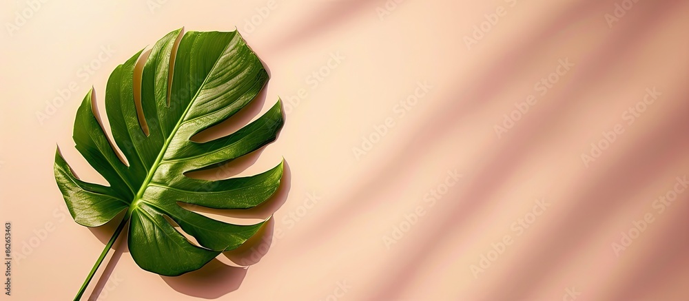 Poster minimalist concept with a tropical leaf situated on a soft pastel backdrop in a flat lay composition