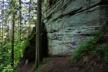 Rötelbachschlucht am Premiumweg Schwarzwälder Genießerpfad; Wald- Wasser- und Wiesenpflad; Baden Württemberg; Deutschland