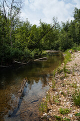 A river peacefully flows through the forest, creating a serene landscape embraced by nature, providing a tranquil environment for various living beings to thrive and enjoy