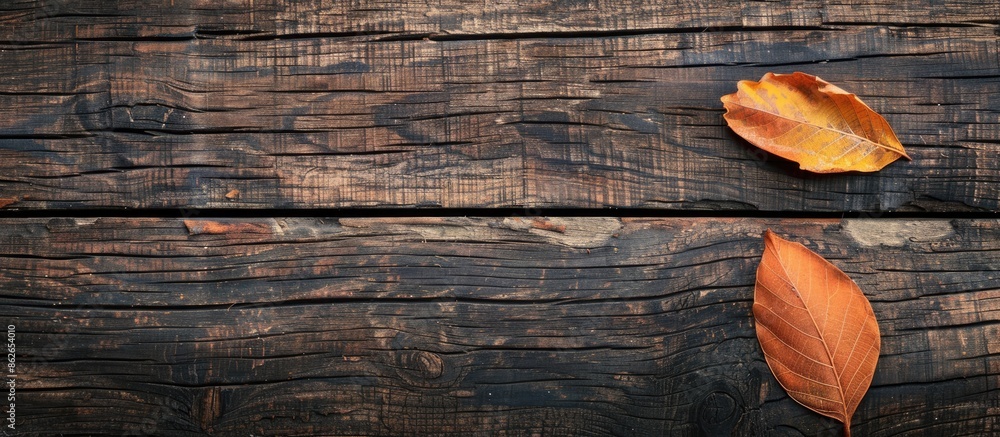 Aufkleber Top view of a vintage wooden background with a single dry brown leaf in an autumn composition, providing copy space image.