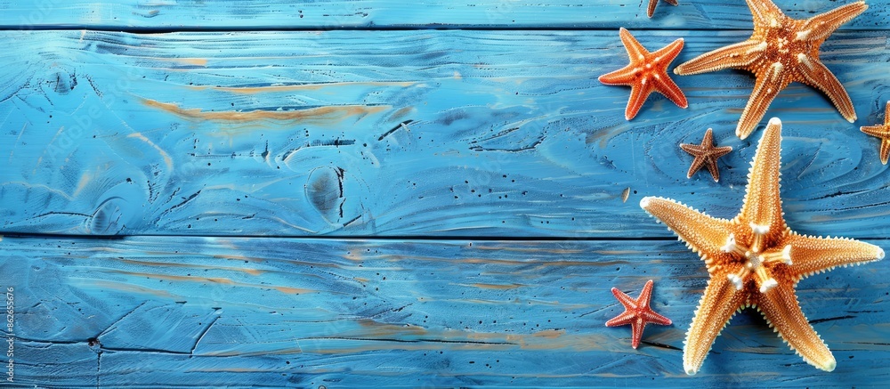Poster starfish on a blue wooden surface with a blank area for additional images.