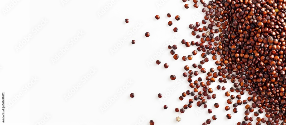 Fototapete Red quinoa seeds forming an ellipse shape against a white background, leaving space for text or images. Copy space image. Place for adding text and design