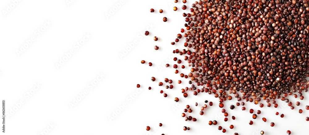 Poster Red quinoa seeds forming an ellipse shape against a white background, leaving space for text or images. Copy space image. Place for adding text and design