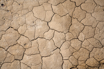 Dried mudflat with cracks, Bardenas reales national park, Navarro, Spain.