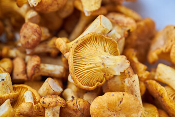 Chanterelles, Mushrooms, Food image chanterelle