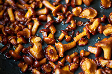 Fried chanterelle mushrooms with rosemary and herbs in a frying pan. close-up.