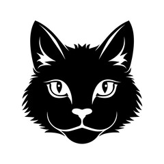 A black cat with a white nose and green eyes