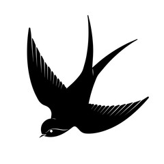 simple black swallow silhouette on white background