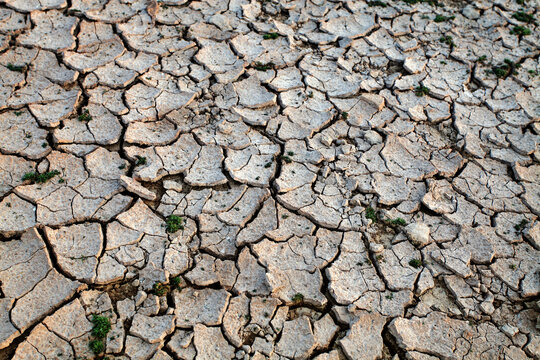 View of arid soil with cracked earth and dry ground, Multan, Punjab, Pakistan.