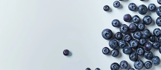 Blueberries scattered in the background with empty space for text alongside. Ideal for a vegan/vegetarian theme, showcasing the macro texture of the berries. Displaying summer's healthy offerings
