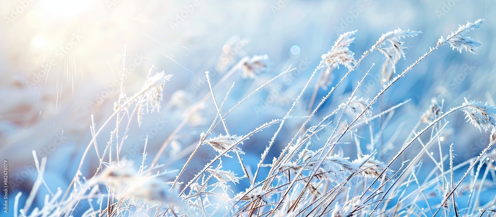 Fototapete blurry frozen grass creating a winter abstract background in an outdoor landscape setting with copy 