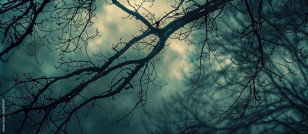 Poster Evening sky and tree branches create a dark background for the copy space image.