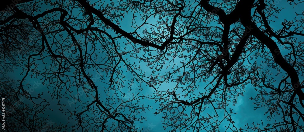 Poster evening sky and tree branches create a dark background for the copy space image.