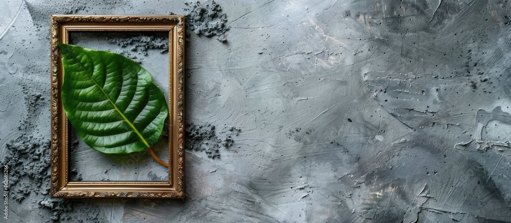 Poster An antique brass picture frame with no image, alongside a green leaf, set against a concrete backdrop, serving as props for photography, with space for text. Copy space image