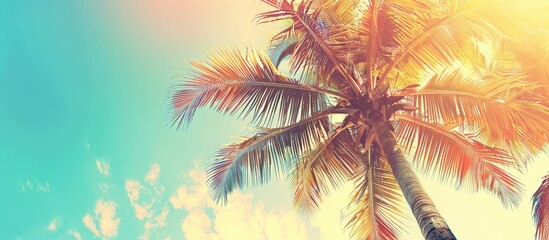Tropical palm tree wallpaper with vintage effect in a sunny tropical resort landscape, perfect for travel inspiration with a copy space image.