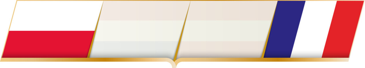 France - Poland icon