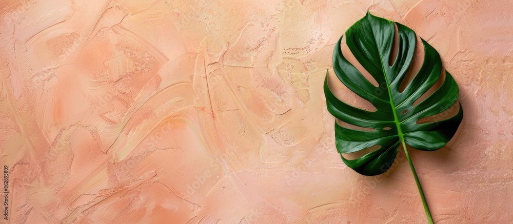 Poster minimalist concept with a tropical leaf situated on a soft pastel backdrop in a flat lay composition