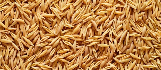 A cereal pattern featuring shredded wheat with a copy space image.
