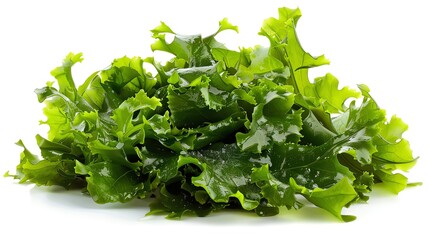 Obraz premium Seaweed salad, fresh and tangy, detailed and centered, isolated , suitable for light meals or health focused dining options