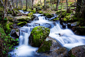 Arroyo del Sestil en invierno