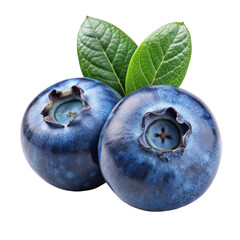 Fresh Blueberries | Juicy Berries | Healthy Snacks | Transparent Background PNG | Clipart