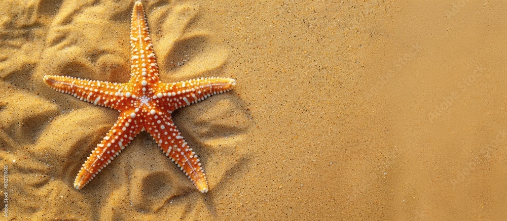 Fototapete Top view of a starfish on a sandy tropical beach with space for text in the image. Copy space image. Place for adding text and design
