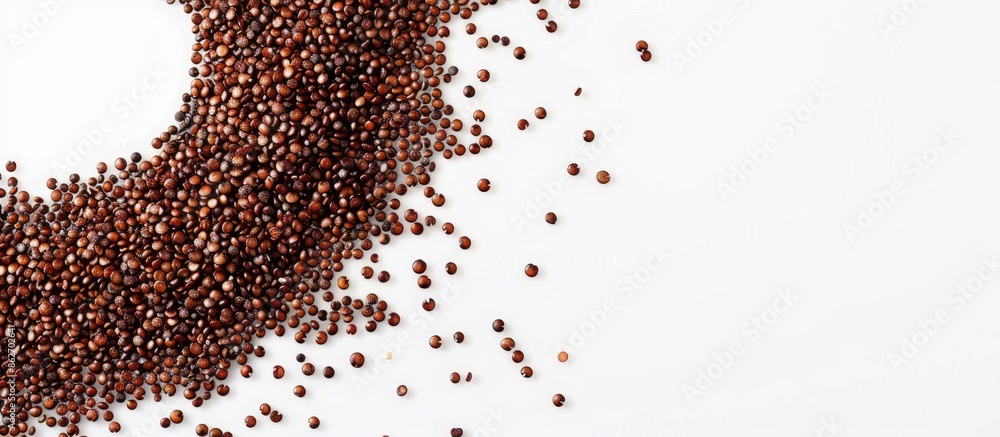 Poster Red quinoa seeds forming an ellipse shape against a white background, leaving space for text or images. Copy space image. Place for adding text and design