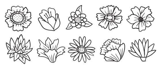 Hand-Drawn Flower Line Art Doodles Vector Illustration - Floral Clipart Set