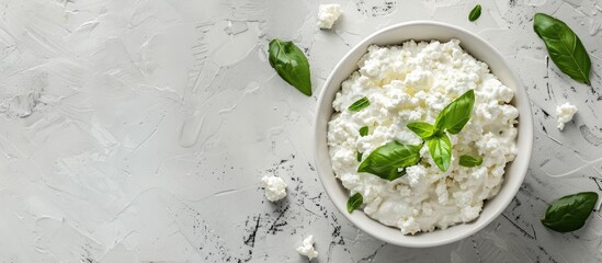 Obraz premium A white bowl on concrete with cottage cheese and yogurt in it, surrounded by copy space image.