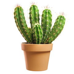 Cactus plant in pot clip art