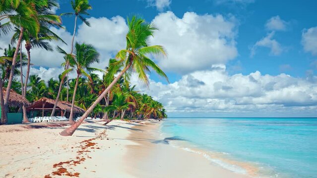 Green palms and blue sea and sky against the background of a luxurious beach. Beautiful seascape. Sunny day on the picturesque Caribbean coast. Summer vacation at a tropical resort.