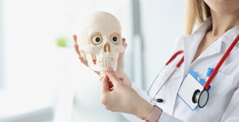 Doctor with stethoscope showing jaws on human skull closeup. Human anatomy concept