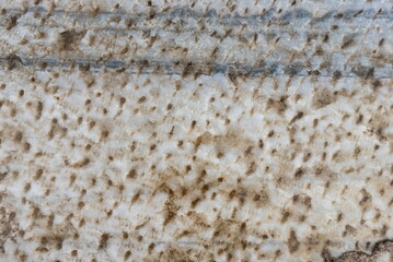 Close-Up Detailed Salt Deposit Texture Horizontal Brown And White