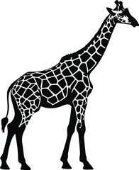 Fototapeta premium giraffe vector illustration