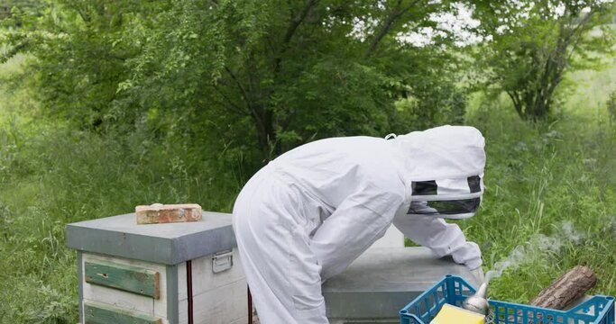 Beekeeper moves the apiary to harvesting fresh honey - Focus on man with safety suit
