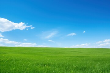 Fototapeta premium Clear lawn landscape sky backgrounds.