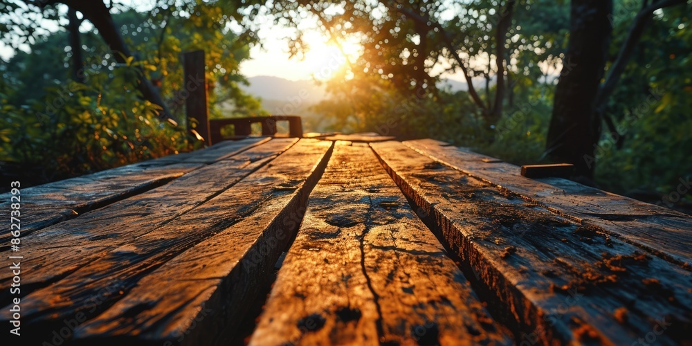 Poster the picture of the wood table in the middle of the forest that surrounded with an uncountable amount